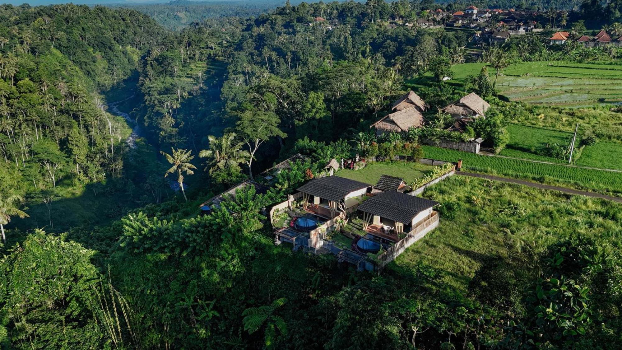 Villa Shigar Livin Bali à Sidemen  Extérieur photo