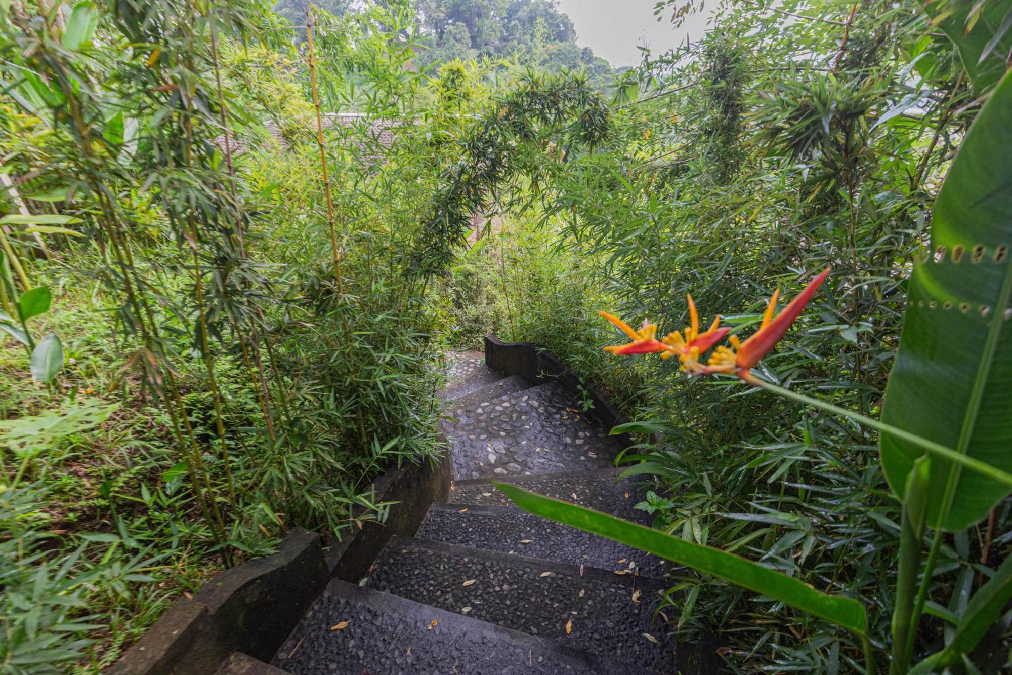 Villa Shigar Livin Bali à Sidemen  Extérieur photo