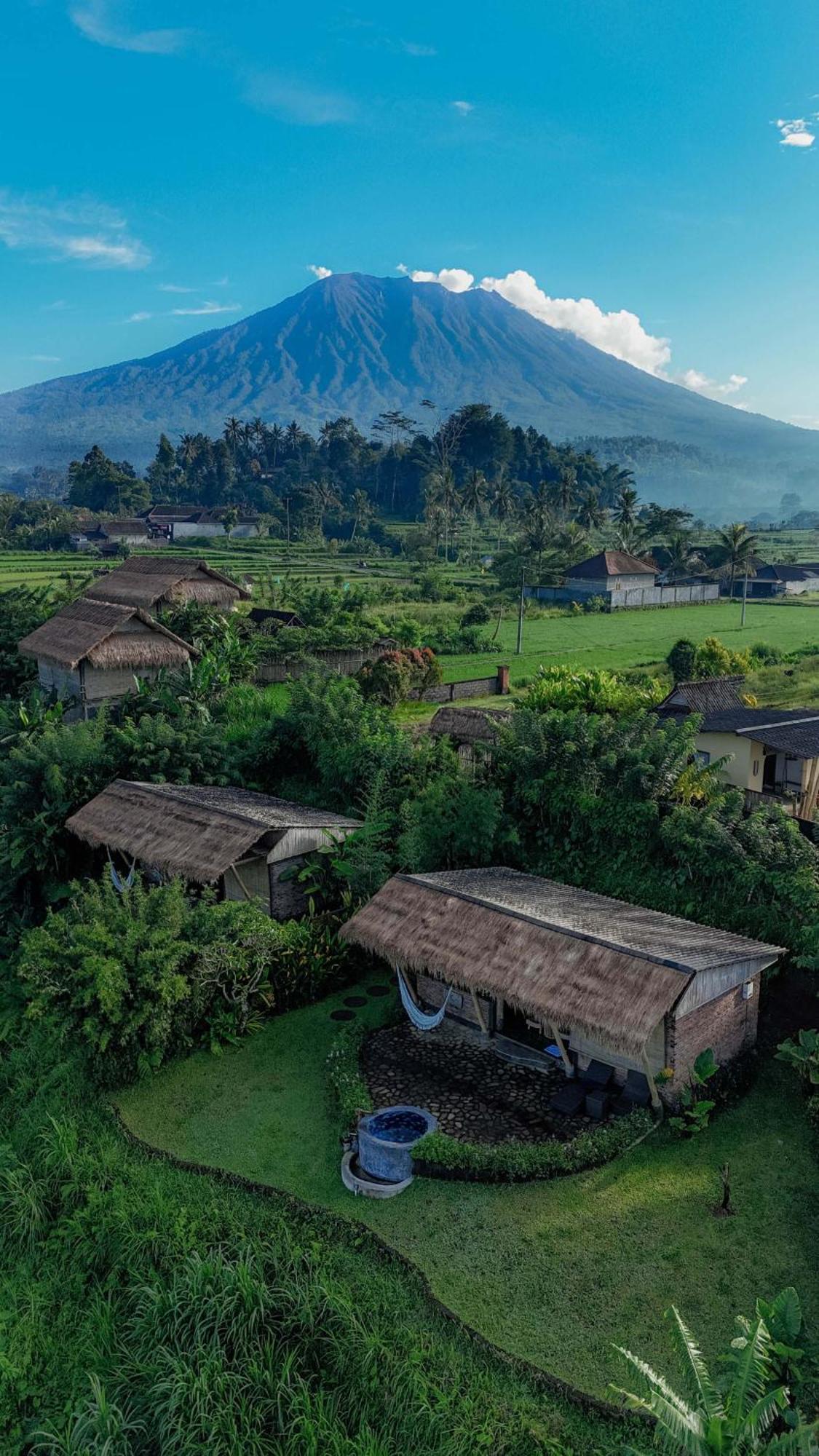Villa Shigar Livin Bali à Sidemen  Extérieur photo